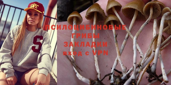 PSILOCYBIN Арсеньев