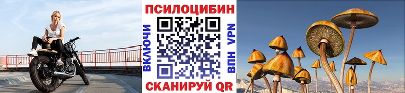 Галлюциногенные грибы Psilocybine cubensis  mega ссылки  Георгиевск 