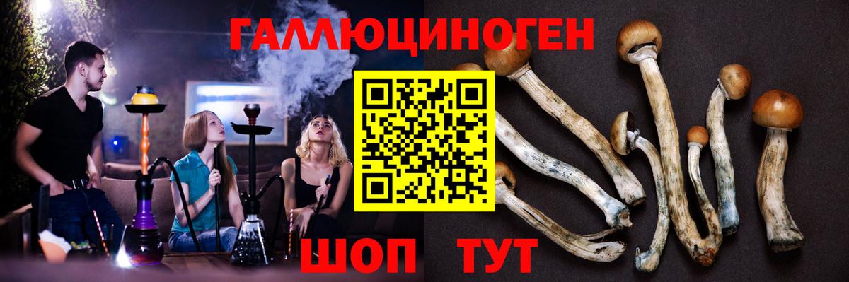 Галлюциногенные грибы Magic Shrooms Георгиевск